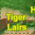 Tiger Lairs